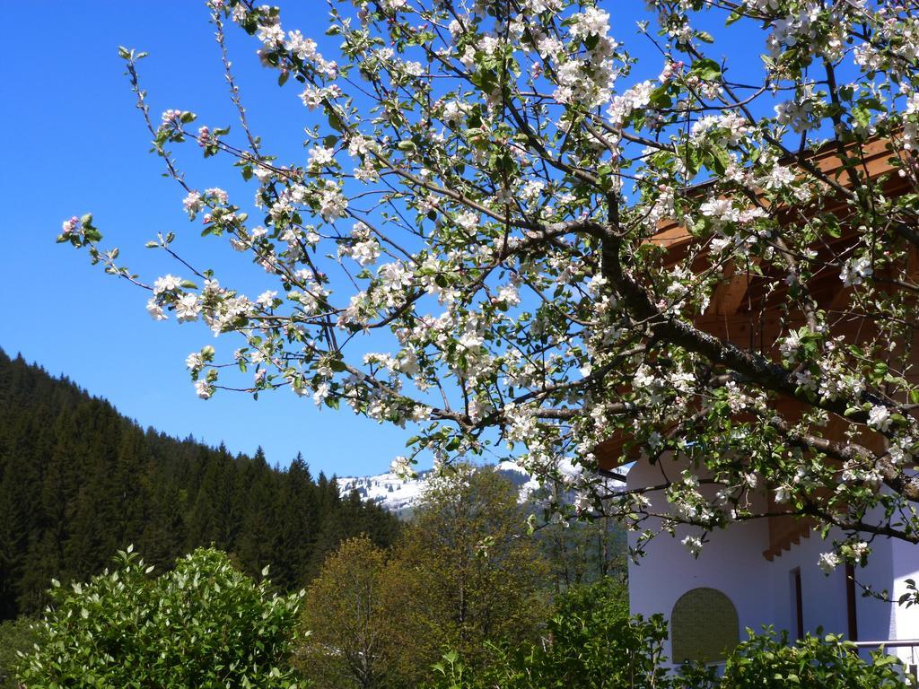 Appartement Ripper Saalbach-Hinterglemm Exterior foto